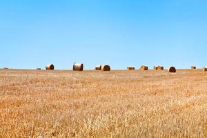 campo de palha em dia quente de verão foto