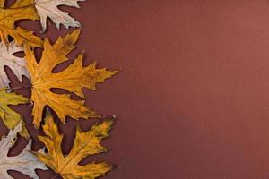 folhas de outono, maple, secas e amarelas em um fundo de madeira velho com espaço de cópia. foto