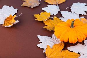 Outono, maple, folhas secas, amarelas, abóbora, sobre um fundo de madeira velho com espaço de cópia. foto