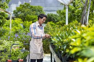 jardineiro asiático está cortando sua planta de flores no centro de jardim de viveiro para cultivador de plantas nativas e exóticas foto