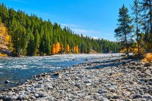 rio yellowstone e cores de outono em uma tarde ensolarada no outono foto