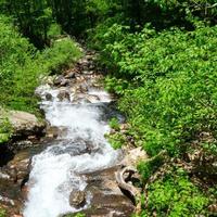 amicalola cai cachoeira na primavera foto