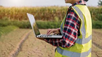 mulher agricultora usando computador tablet digital em campo, aplicação de tecnologia na atividade de cultivo agrícola, foto