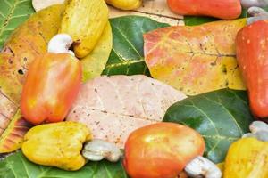 cajus vermelhos e amarelos que amadurecem e caem debaixo da árvore. foto