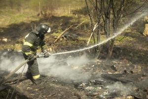 bombeiro apaga fogo na floresta. salva-vidas derrama água. foto