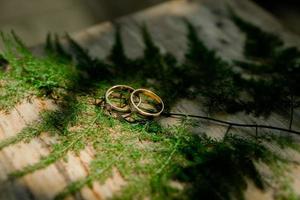 aliança de casamento entre folhas secas. foto