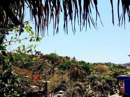 horizonte tropical de sayulita foto