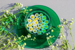 camomila em uma xícara verde com um pires cercado por flores sob a luz do sol. verão, quente. bela foto