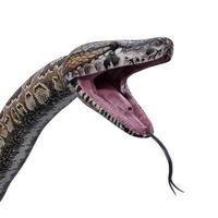 ilustração 3d de rock python da África Austral foto