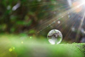 globo planeta vidro na floresta verde com luzes da natureza bokeh. dia Mundial do Meio Ambiente. conceito de conservação do meio ambiente, proteger a ecologia da terra e a vida ecológica ambiental com espaço de cópia foto