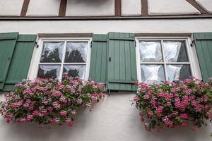 linda moldura de janelas com caixas de flores. gerânio ou guindaste em uma caixa de janela. moldura de janela rural foto