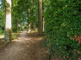 floresta e castelo em westphalia foto