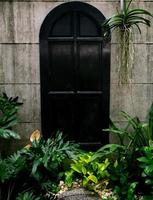 parede do jardim e porta antiga, a entrada está cheia de plantas, sinta-se no meio da natureza na floresta tropical, conceito de terapia da natureza. foto