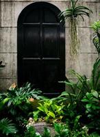 parede do jardim e porta antiga, a entrada está cheia de plantas, sinta-se no meio da natureza na floresta tropical, conceito de terapia da natureza. foto