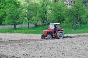 agricultura de campo rural foto