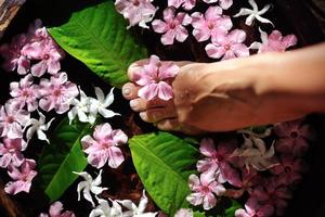 cuidados com os pés spa foto