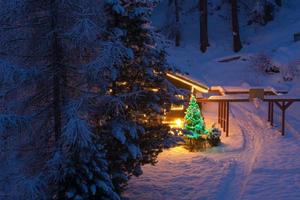 árvore de natal decoração ao ar livre foto