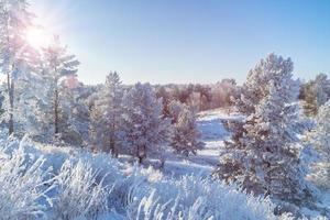 bela paisagem de inverno em tempo claro. foto