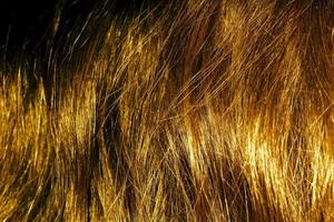 textura de cabelo loiro foto