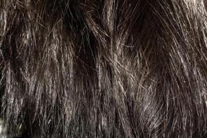 textura de cabelo castanho escuro foto