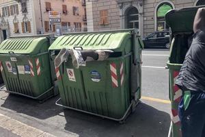 genoa, itália - 9 de junho de 2017 - migrante procurando comida dentro do recipiente de lixo foto