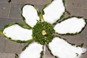 tapete de pétalas e flores para celebração de corpus domini christi foto