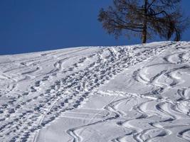 dolomitas neve panorama esqui alpino fora das pistas foto