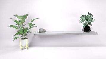 Plataforma abstrata de renderização 3D com apresentação de produtos de pódio de plantas na sombra da parede foto