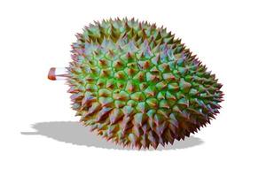 close-up durian monthong isolar no fundo branco. foto