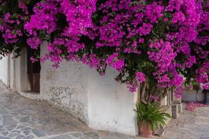 rua estreita e colorida na aldeia de kritsa na ilha de creta foto