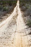 baja califórnia deserto estrada sem fim paisagem vista foto