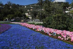 genoa, itália - 27 de abril de 2017 - retorno da euroflora a genoa no cenário único dos parques nervi foto