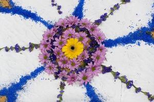 tapete de pétalas e flores para celebração de corpus domini christi foto