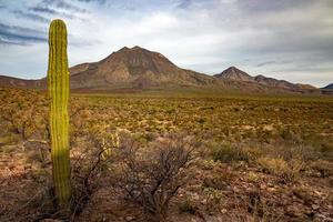 vulcão três virgens baja califórnia sur panorama foto