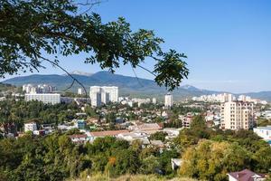 galho de árvore verde e vista acima da cidade de alushta foto