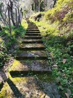 antigo caminho de pedra entre santa marguerita ligure e vila de nozarego foto