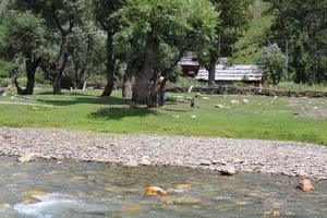 beleza majestosa do vale neelum, caxemira. O vale neelum é famoso por sua beleza natural, altas montanhas, belos vales verdes e rios de águas cristalinas. foto