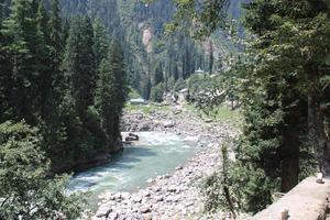 majestosa beleza natural de neelum, vale, caxemira. o vale neelum é famoso por sua beleza natural, árvores verdes exuberantes e rios de água limpa. foto