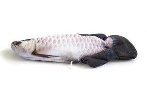 peixinho de brinquedo infantil feito de pano que pode se mover e carregar usando usb foto