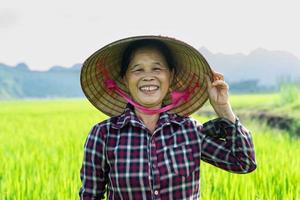 mulher agricultora no campo de arroz foto