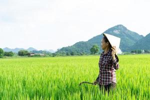 mulher agricultora no campo de arroz foto