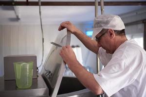 queijeiro de produção de queijo trabalhando na fábrica foto