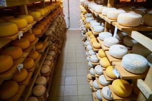 prateleiras de produção de fábrica de queijo com queijo velho envelhecido foto