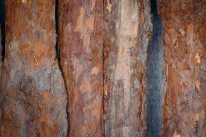 fundo de prancha, fundo de madeira grunge. textura de madeira. fundo de madeira natural foto