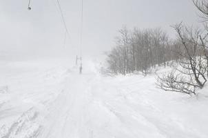 paisagem de inverno foto