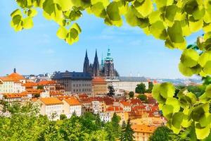 panorama da Catedral de hrad e vitas de Praga