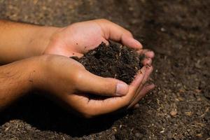 mãos seguram o solo com sementes de plantas. fotos da natureza para o meio ambiente e agricultores