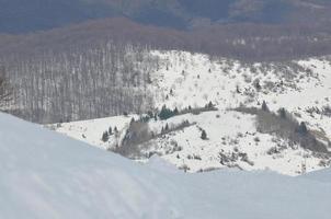 paisagem de inverno foto