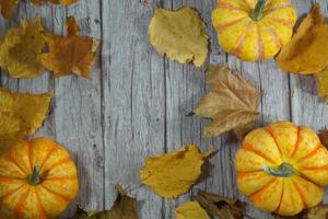 borda de canto outono de abóboras laranja e brancas. borda de canto de outono com abóboras laranja geladas em um fundo de bandeira de madeira branca rústica. visão aérea com espaço de cópia. foto