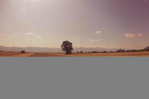 vista da paisagem de verão foto